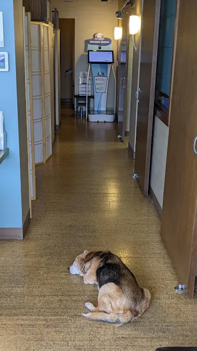 Eastlake Chiropractic and Massage Center Picture 8