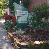 Roosevelt Chiropractic and Massage ico