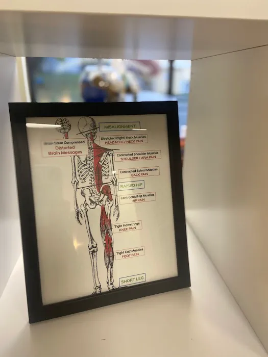 Sweeney Family Chiropractic Picture 4