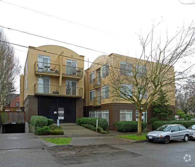 Tree of Life Chiropractic Picture 5