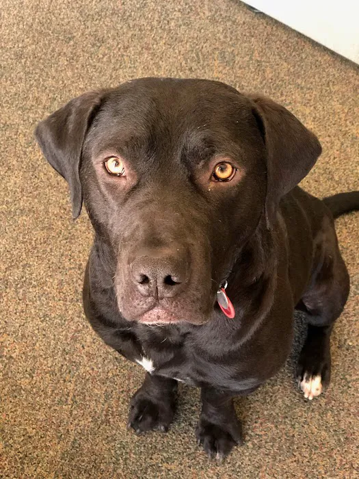 Folweiler Chiropractic Picture 7