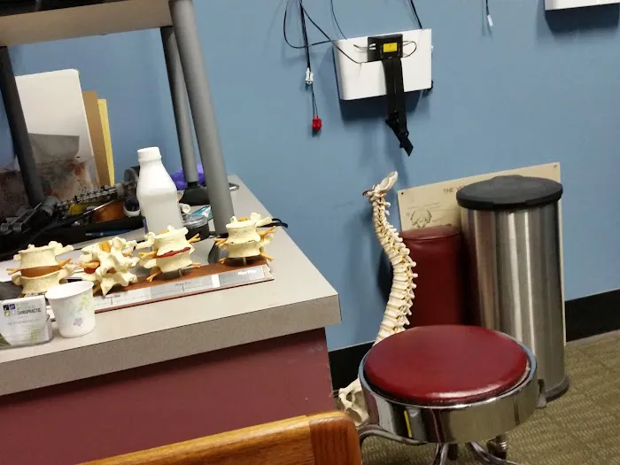 In Touch With Health Chiropractic Picture 8
