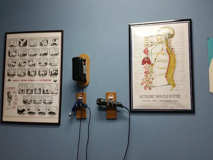 In Touch With Health Chiropractic Picture 7