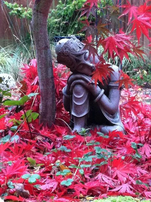 Ya-Ling J. Liou, DC Picture 2