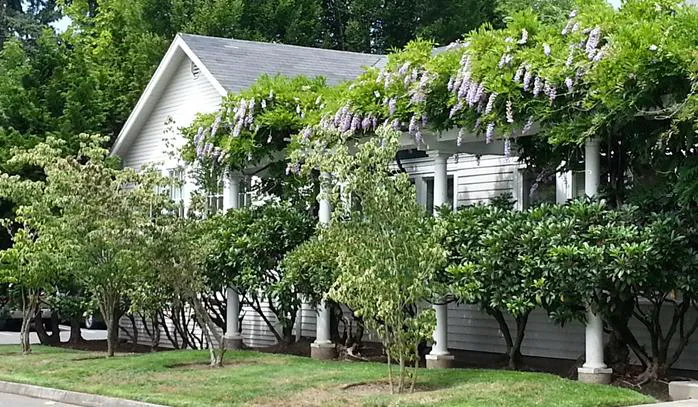 David P. Kirdahy, DC Picture 3