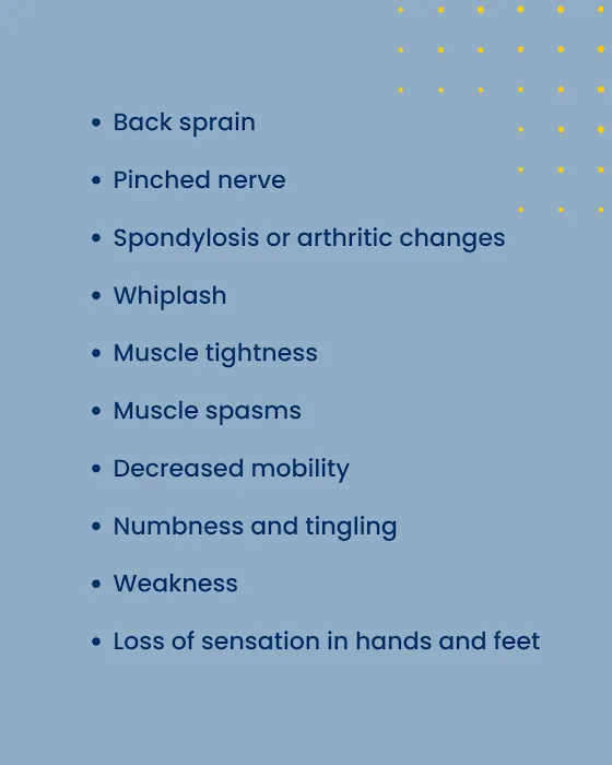 Lifestyle Chiropractic - Shoreline Picture 6