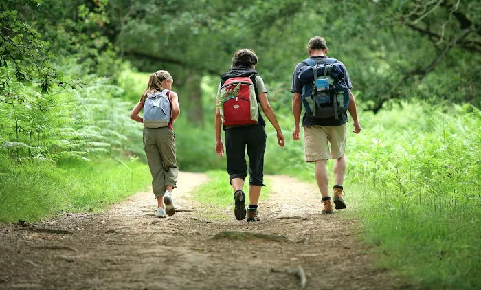 Waldron Chiropractic & Massage Picture 3