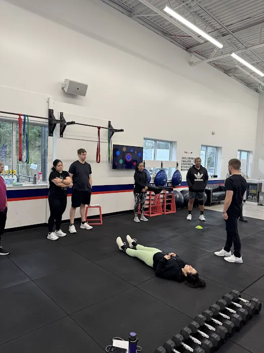 Olympic Spine & Sports Therapy Picture 6