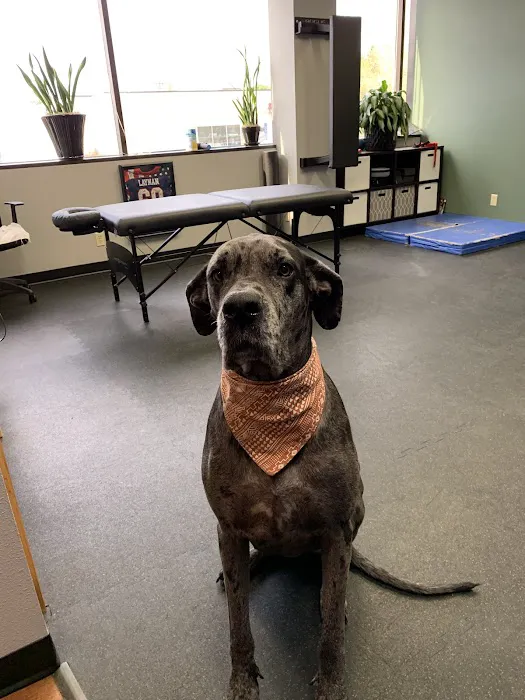 Hybrid Sports Chiropractic Picture 1