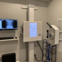Seattle Belta Chiropractic ico