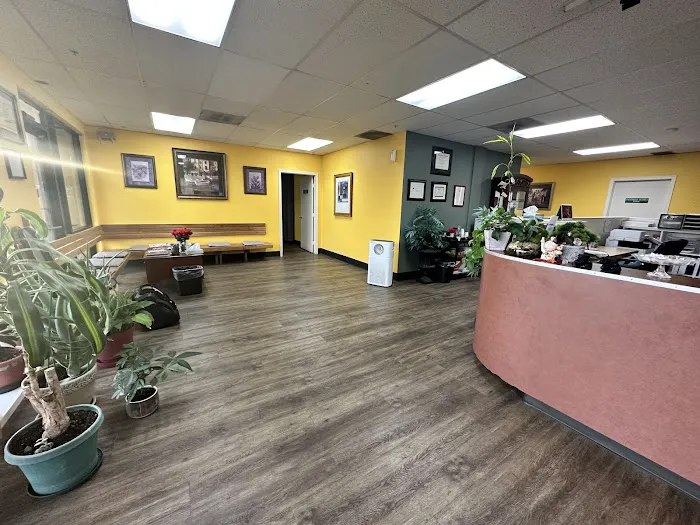 Back To Wellness Chiropractic Picture 2