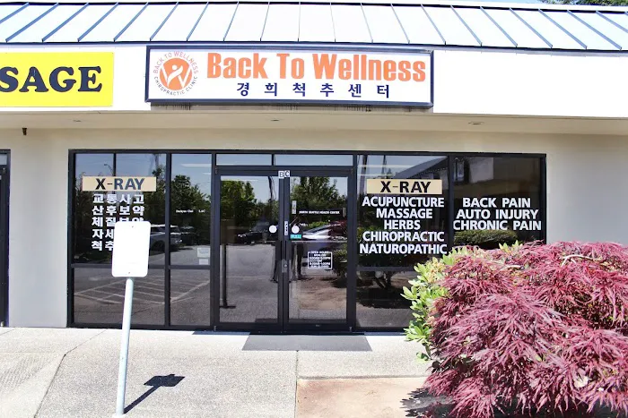 Back To Wellness Chiropractic Picture 1