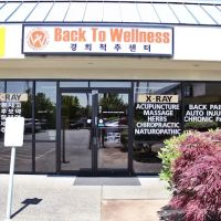Back To Wellness Chiropractic ico