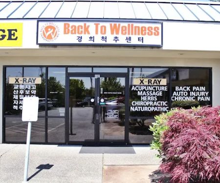 Back To Wellness Chiropractic