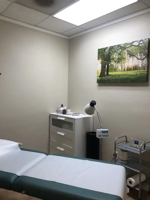 Back To Wellness Chiropractic Picture 7