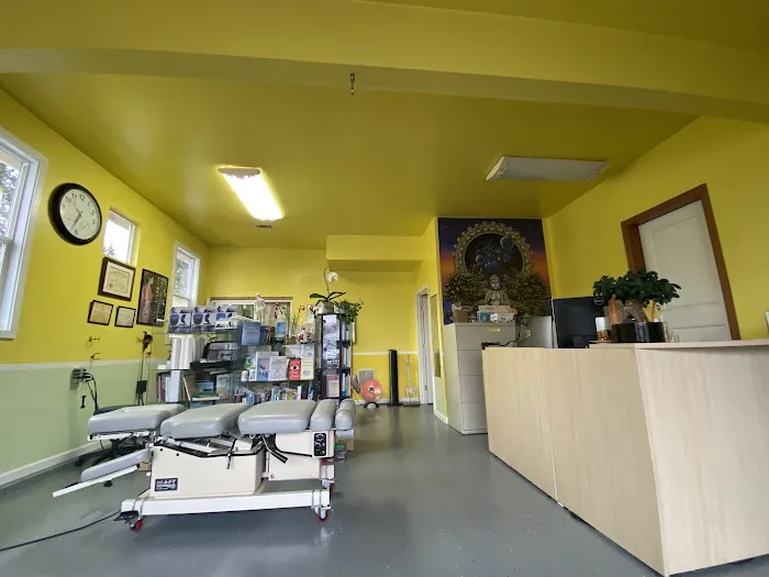 Boulom Chiropractic Dr. Sky & Dr. Jeudi Picture 1