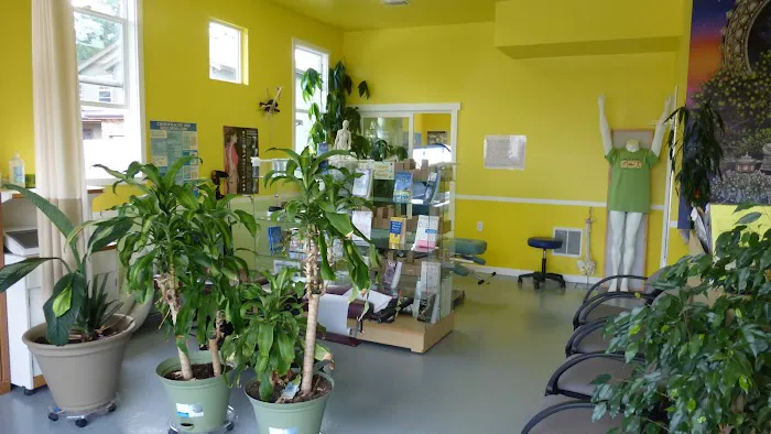 Boulom Chiropractic Dr. Sky & Dr. Jeudi Picture 6