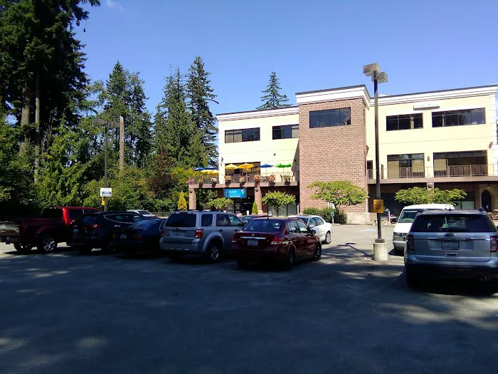 Planet Chiropractic Picture 7