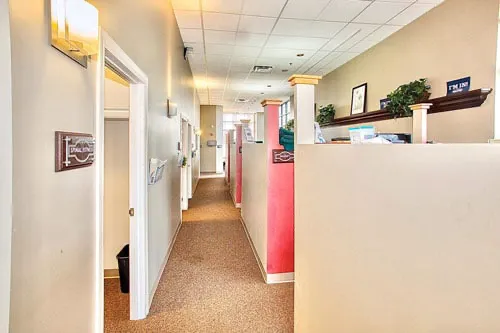 Vital Chiropractic Mill Creek Picture 5