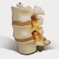 Everett Chiropractic Center ico
