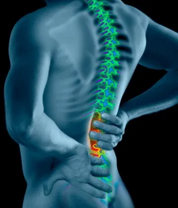 Everett Chiropractic Center Picture 4