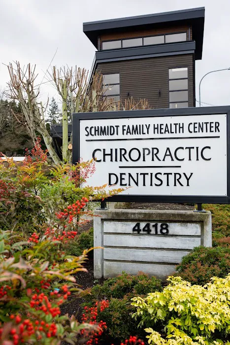 Schmidt Family Chiropractic Picture 8