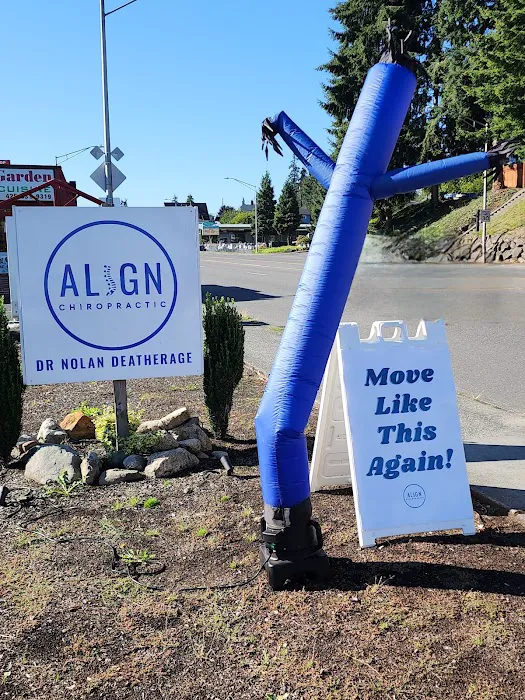 Align Chiropractic Picture 8