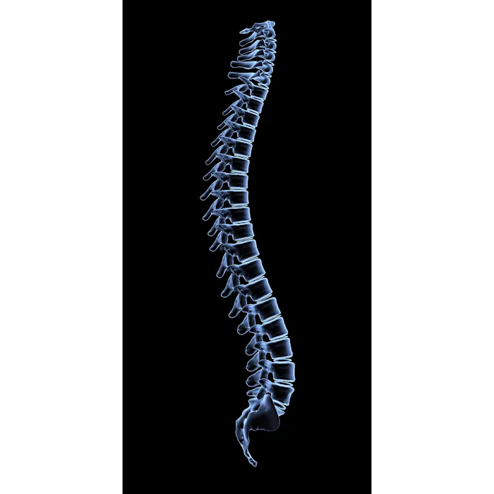 Back Pain Relief Center Picture 9