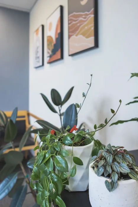 Crescent Chiropractic and Wellness (Lauri Webb, DC, LLC) Picture 7