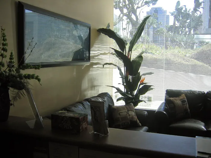 Fitness Chiropractic & Massage Therapy Picture 2