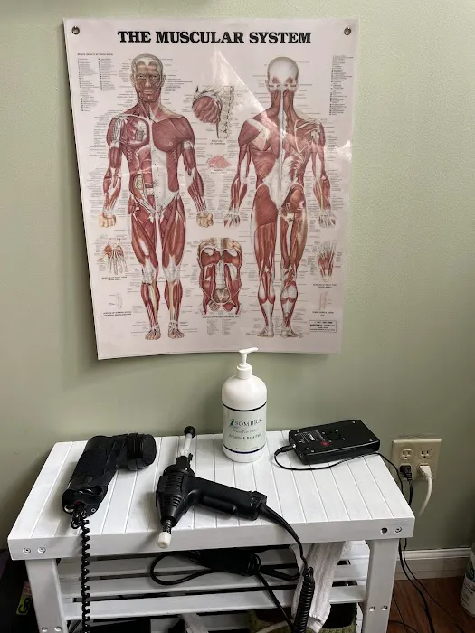 Sese Novas Chiropractic Picture 3