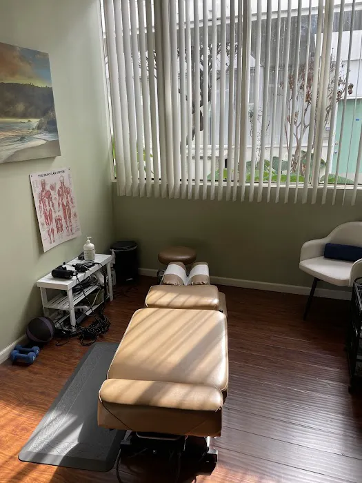 Sese Novas Chiropractic Picture 2