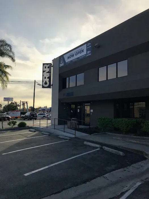 New Era Chiropractic Matsumoto, INC Picture 4