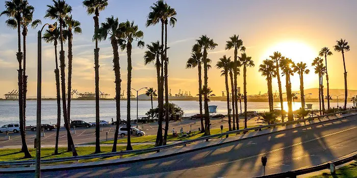 Health Atlast Picture 1