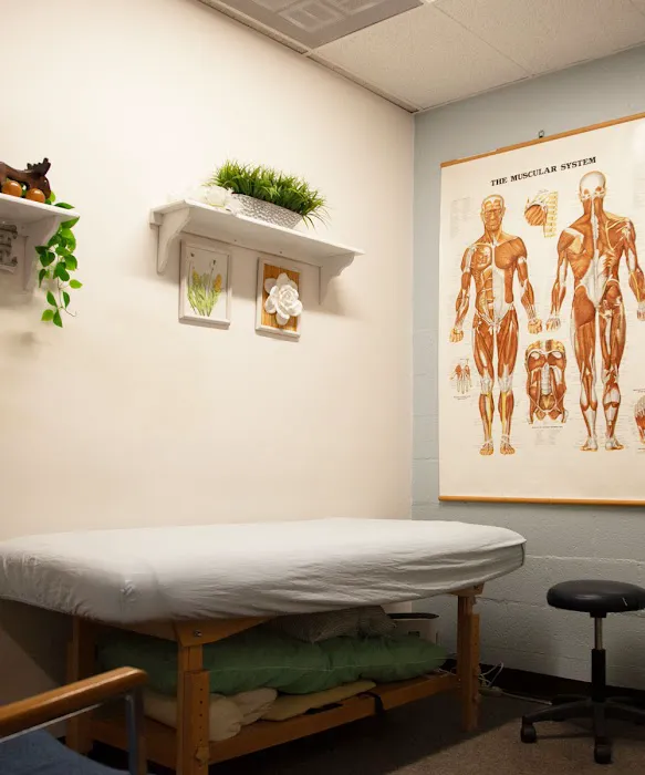 Vista Chiropractic Picture 3