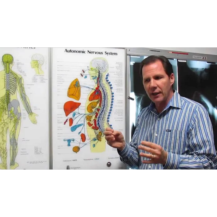 Turner Chiropractic and Wellness Center Picture 10