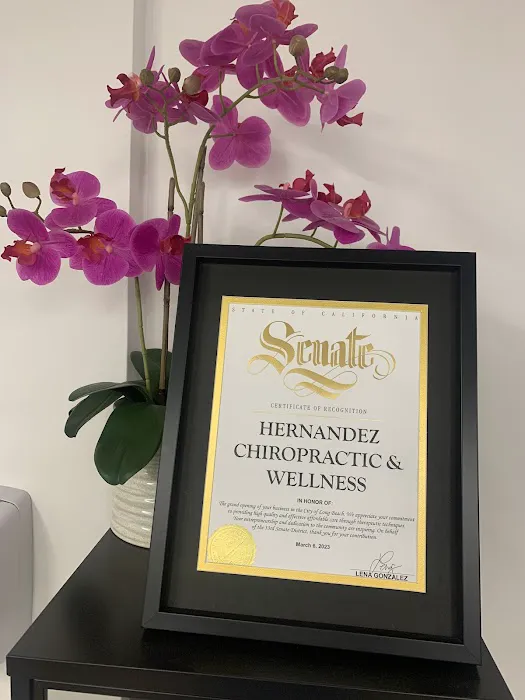 Hernandez Chiropractic & Wellness Picture 2