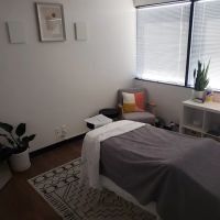 Hernandez Chiropractic & Wellness ico
