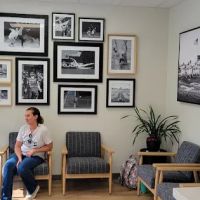 Hayes Sports Chiropractic ico