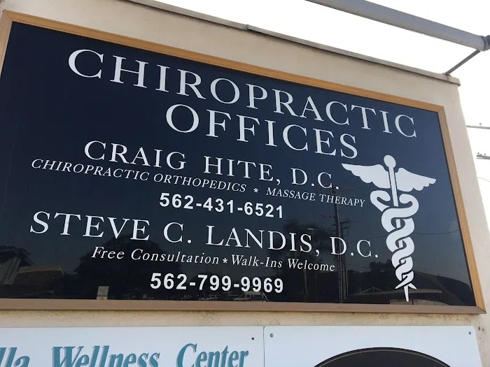 Landis Chiropractic Picture 3