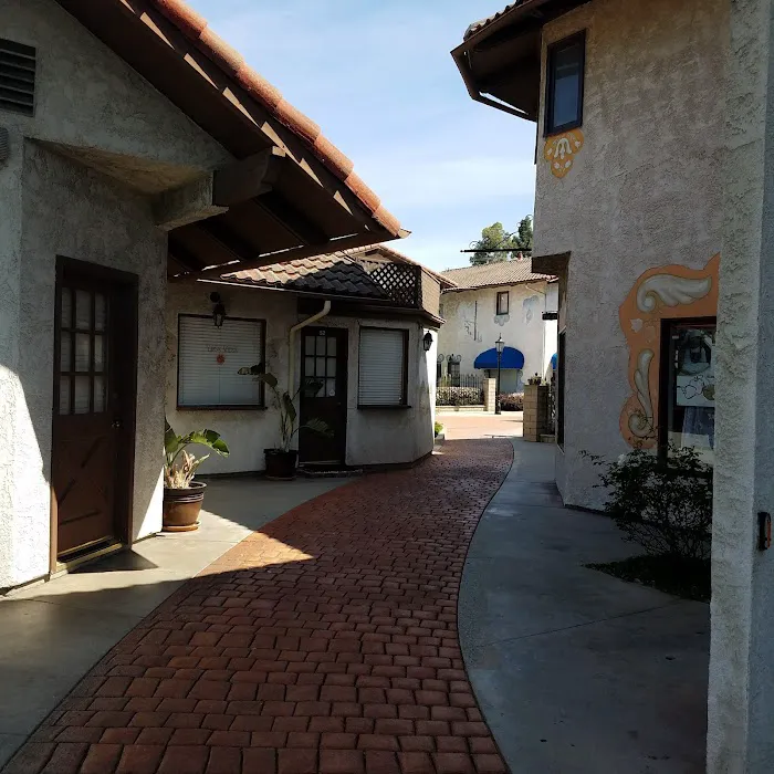 Dr. Tracie M. Cusimano Picture 4