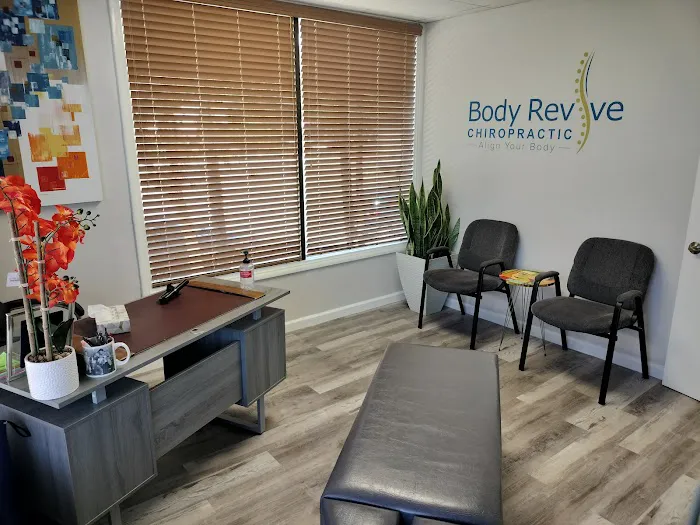 Body Revive Chiropractic. Dr. Reza Shahba D.C. Picture 1