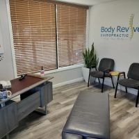 Body Revive Chiropractic. Dr. Reza Shahba D.C. ico