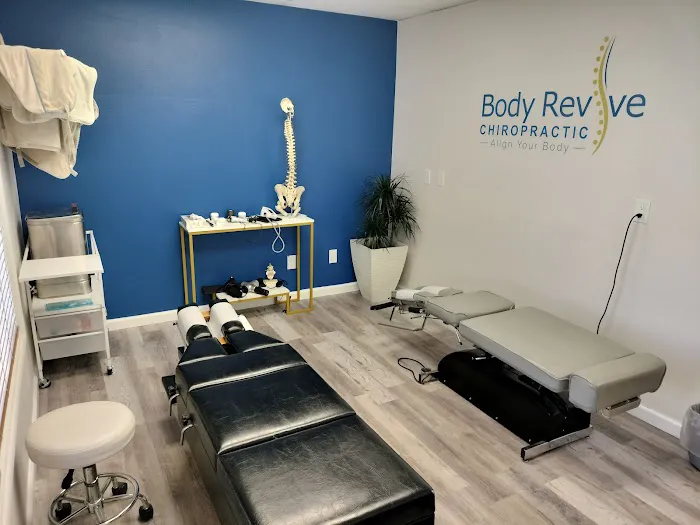 Body Revive Chiropractic. Dr. Reza Shahba D.C. Picture 5