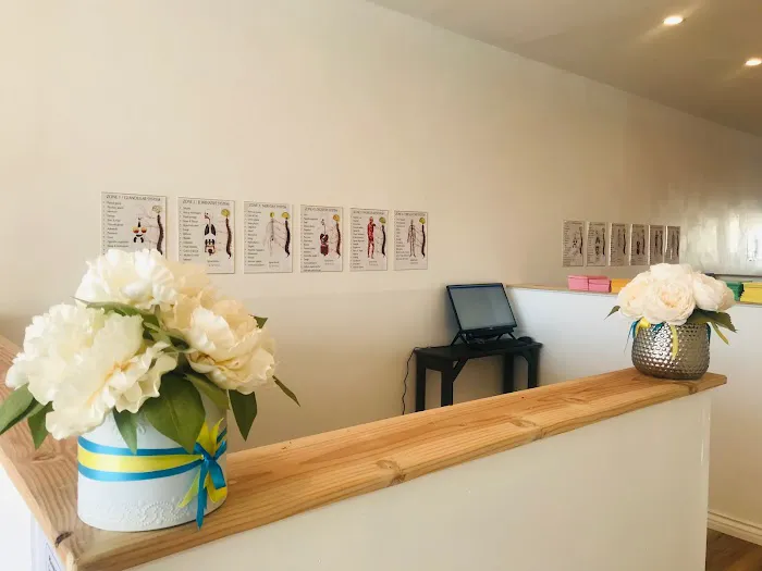 Chiro Haven Picture 4