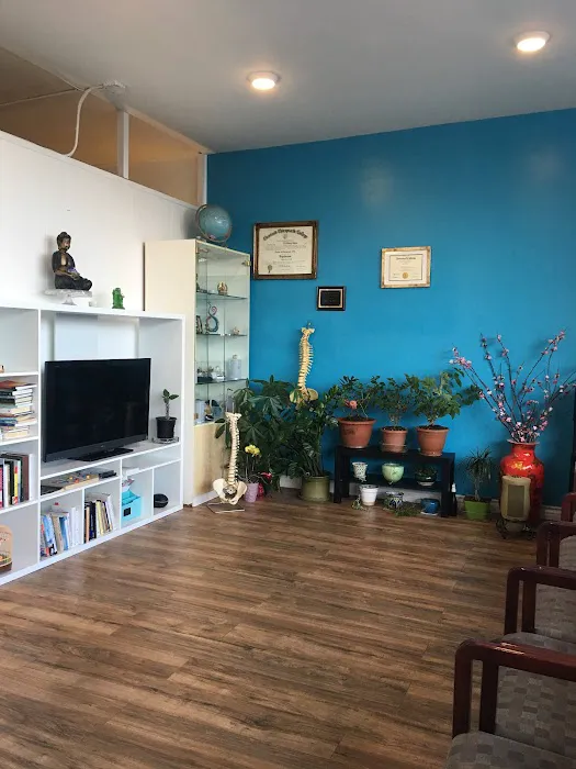 Chiro Haven Picture 7