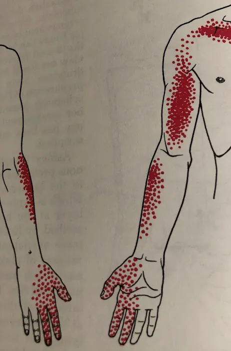 No Crack Chiropractor Picture 1