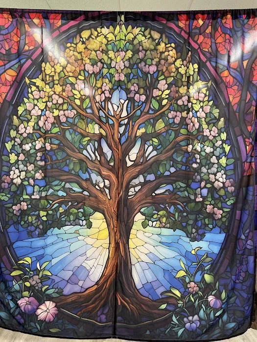 No Crack Chiropractor Picture 5