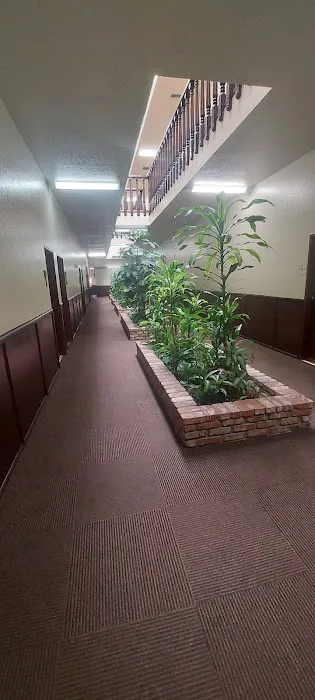 Asher Chiropractic Picture 2