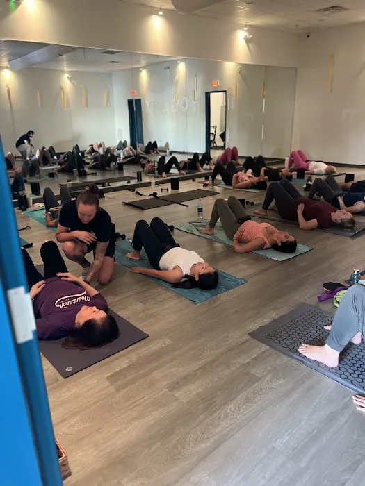 Hatfield Chiropractic and Wellness Picture 7